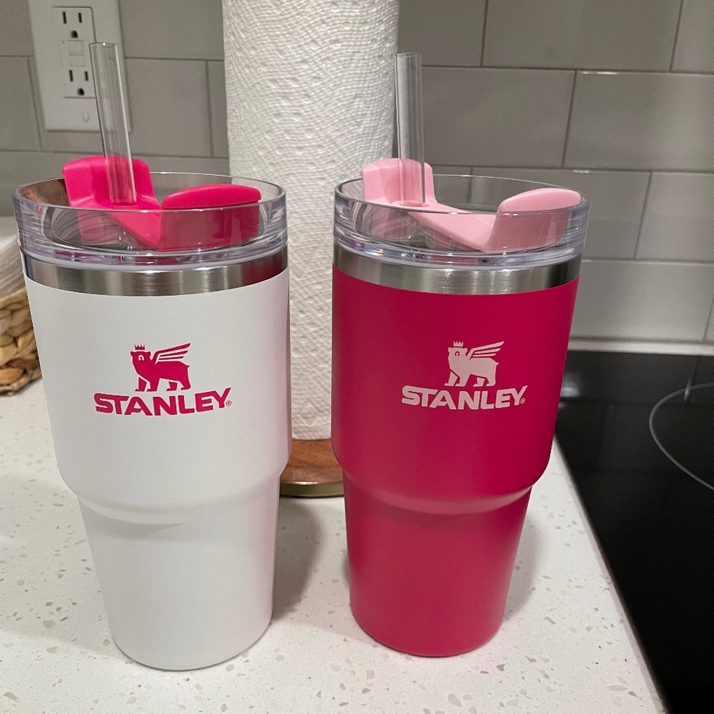 Stanley 2pk 20 oz. Stainless Steel H2.0 Flowstate Quencher Tumblers
